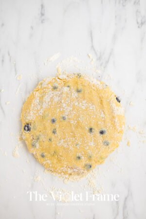 Blueberry_Lemon_Scones-10