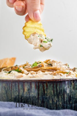 Caramelized_Onion_Dip-24 Caramelized_Onion_Dip-24