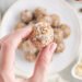 Healthy_Protein_Balls-16