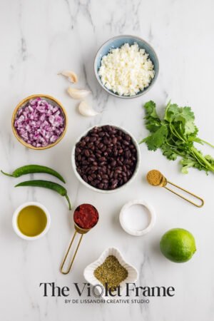 Black Bean Dip Preview-1 Black Bean Dip Preview-1