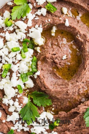 Black Bean Dip Preview-14 Black Bean Dip Preview-14