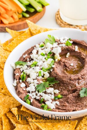 Black Bean Dip Preview-17 Black Bean Dip Preview-17