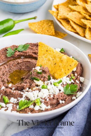 Black Bean Dip Preview-23 Black Bean Dip Preview-23