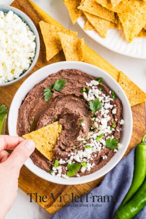 Black Bean Dip Preview-24 Black Bean Dip Preview-24