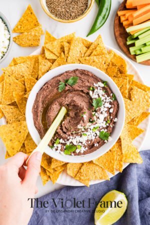 Black Bean Dip Preview-25 Black Bean Dip Preview-25