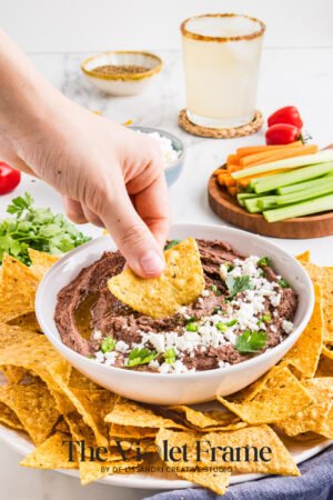 Black Bean Dip Preview-26 Black Bean Dip Preview-26