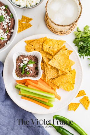 Black Bean Dip Preview-27 Black Bean Dip Preview-27