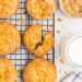 Cornflake Cookies Preview-29